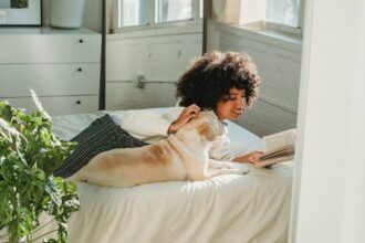 Un maître et son chien s'entraînent ensemble en plein air