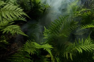 Motif de papier peint jungle aux couleurs vives et exotiques