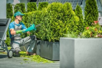 Aménagement de votre jardin : pourquoi ne pas faire appel à un paysagiste ?