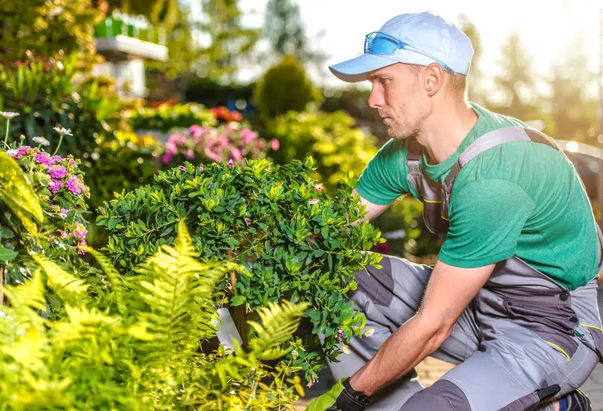 Aménagement de votre jardin : pourquoi ne pas faire appel à un paysagiste ?