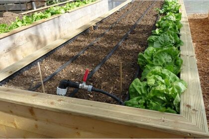 Comment créer un carré potager surélevé