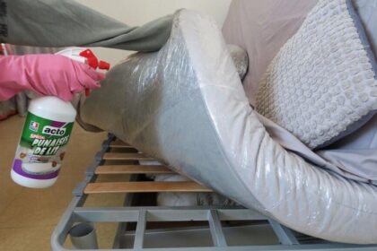 Comment trouver une société reconnue de traitement de punaises de lit