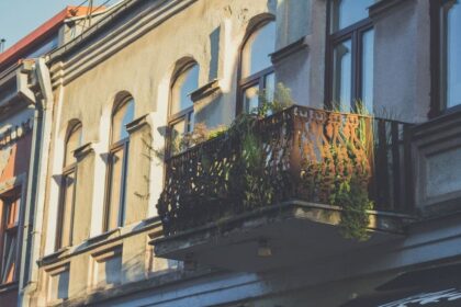 Conseils pour choisir et installer un brise-vue