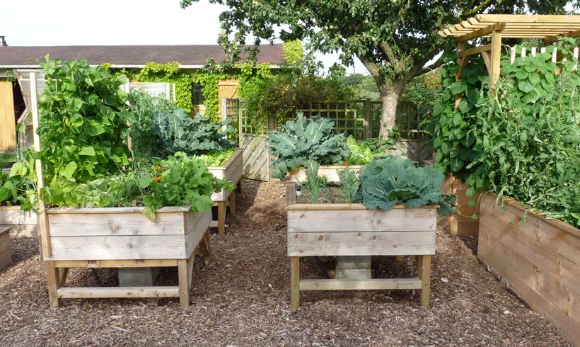 créer un carré potager surélevé