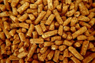 Granulés de bois pour chauffage domestique en Belgique