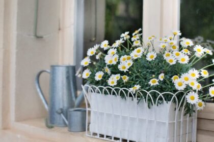 Jardinières en aluminium composite : un choix moderne pour votre jardin