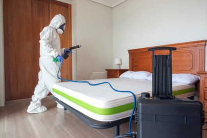 Punaises de lit : choisir un traitement professionnel rapide et efficace