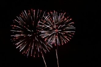 Quels types de feux d'artifice sont adaptés aux jardins ?