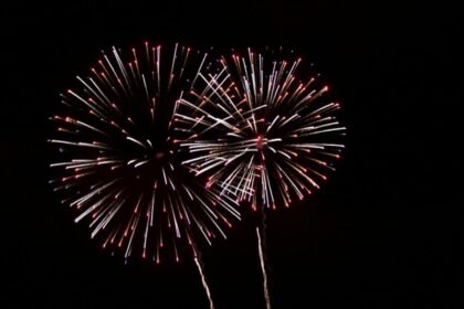 Quels types de feux d'artifice sont adaptés aux jardins ?