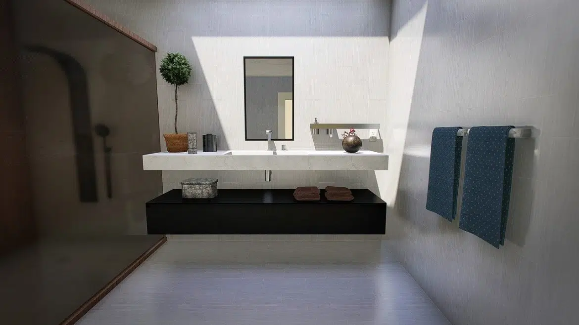 salle de bain design